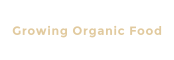Growing Organic Food