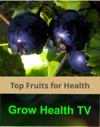 Top Fruits for Health