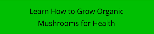 Learn How to Grow Organic Mushrooms for Health