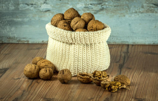 grow-organic-nut-trees-for-health