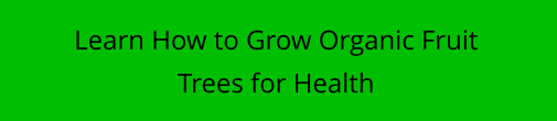 Learn How to Grow Organic Fruit Trees for Health