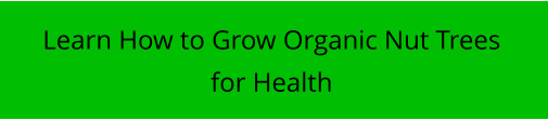 Learn How to Grow Organic Nut Trees for Health