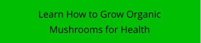 Learn How to Grow Organic Mushrooms for Health