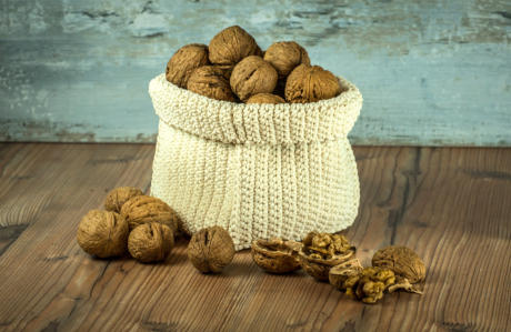 grow-organic-nut-trees-for-health