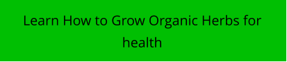Learn How to Grow Organic Herbs for health