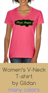 Women’s V-Neck T-shirt  by Gildan many colors