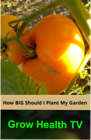 How BIG Should I Plant My Garden