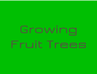 Growing Fruit Trees