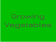 Growing Vegetables