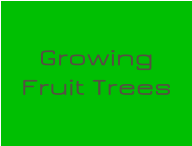 Growing Fruit Trees