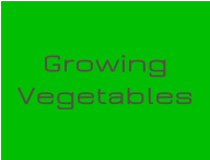 Growing Vegetables