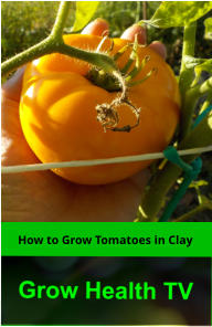How to Grow Tomatoes in Clay