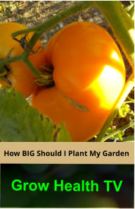 How BIG Should I Plant My Garden