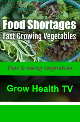 Fast Growing Vegetables