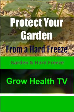 Garden & Hard Freeze