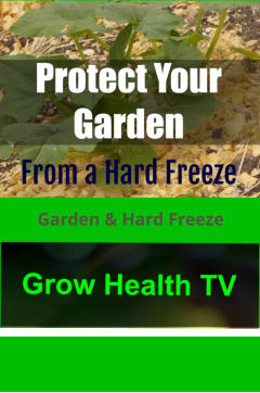 Garden & Hard Freeze