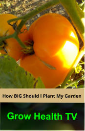 How BIG Should I Plant My Garden