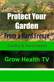 Garden & Hard Freeze