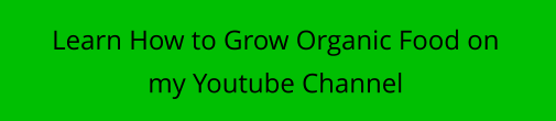 Learn How to Grow Organic Food on my Youtube Channel