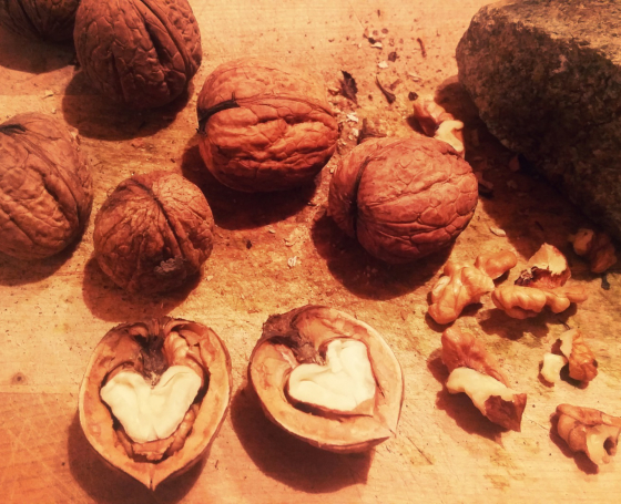 health-benefits-nuts