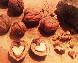 health-benefits-nuts